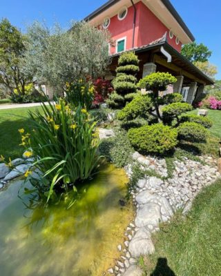Una delle nostre ultime realizzazioni presso un vecchio casale in località S.Fior. Laghetto con ruscello con piante di iris, piante acquatiche e ninfee.
Contattateci per preventivi 
#potatura #fiori  #giardino #piante #natura #gardening #verde #terrearmate #gardendesign #green #nature #giardiniereprofessionista #giardinieri #fiori #realizzazionipersonalizzate #realizzazionidiparchiegiardini #unescoworldheritagesite #unesco #collinedelprosecco #artistagiardiniere #potatura #giardinaggio #fiori  #giardino