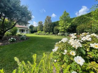 Sulle colline di Conegliano abbiamo realizzato un elegante giardino all’inglese dove spiccano i classici colori verde e bianco #natura #gardening #verde #terrearmate #gardendesign #green #nature #giardiniereprofessionista 
#giardinieri #fiori