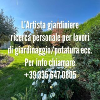 Ricerchiamo collaboratori….#realizzazionipersonalizzate #realizzazionidiparchiegiardini #unescoworldheritagesite #unesco #collinedelprosecco #artistagiardiniere #potatura #gardening #verde #terrearmate #gardendesign #green #nature #giardiniereprofessionista #collinedelprosecco #artistagiardiniere #tufo #collinedelproseccounesco #unescoworldheritagesites