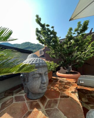 Per una bellissima casa nei pressi di Vittorio Veneto abbiamo seguito la personalizzazione di un terrazzo impiegando alcune piante Bonsai e una scultura in pietra molto caratteristica 🗿🌴

#artista #giardiniere #giardini #terrazzi #arte