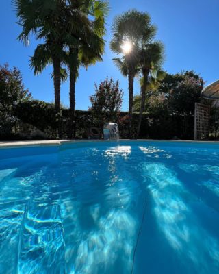 Splendida giornata con il sole che ci gratifica con questi “riflessi autunnali”sull’acqua della piscina da noi realizzata… #piante #natura #gardening #verde #terrearmate #gardendesign #green #nature #giardiniereprofessionista 
#giardinieri #fiori #realizzazionipersonalizzate #realizzazionidiparchiegiardini #unescoworldheritagesite #unesco #collinedelprosecco #artistagiardiniere #potatura #giardinaggio #fiori #donna #giardino #piante #natura #gardening #verde #terrearmate #gardendesign #green #nature #giardiniereprofessionista #giardinieri #fiori #realizzazionipersonalizzate #realizzazionidiparchiegiardini #unescoworldheritagesite #unesco #collinedelprosecco #artistagiardiniere #tufo #collinedelproseccounesco #unescoworldheritagesites