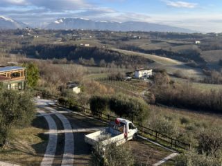 Tra le colline e i panorami unici di queste zone, si cela un luogo che è pura poesia. Una città dal fascino senza tempo, patrimonio UNESCO e scrigno di tesori naturali, dove noi giardinieri abbiamo l'onore e il privilegio di creare veri e propri capolavori di natura.

Le nostre mani sono quelle che trasformano la terra in un giardino incantato, dove il colore e la forma diventano un'unica armonia di vita e di bellezza, ed ogni pianta ed ogni fiore è un'opera d'arte in sé.

Il nostro lavoro diventa una celebrazione dell'amore per la natura e per la bellezza.

#conegliano #patrimonio #unesco #giardinaggio #arte #natura #bellezza #artistagiardiniere